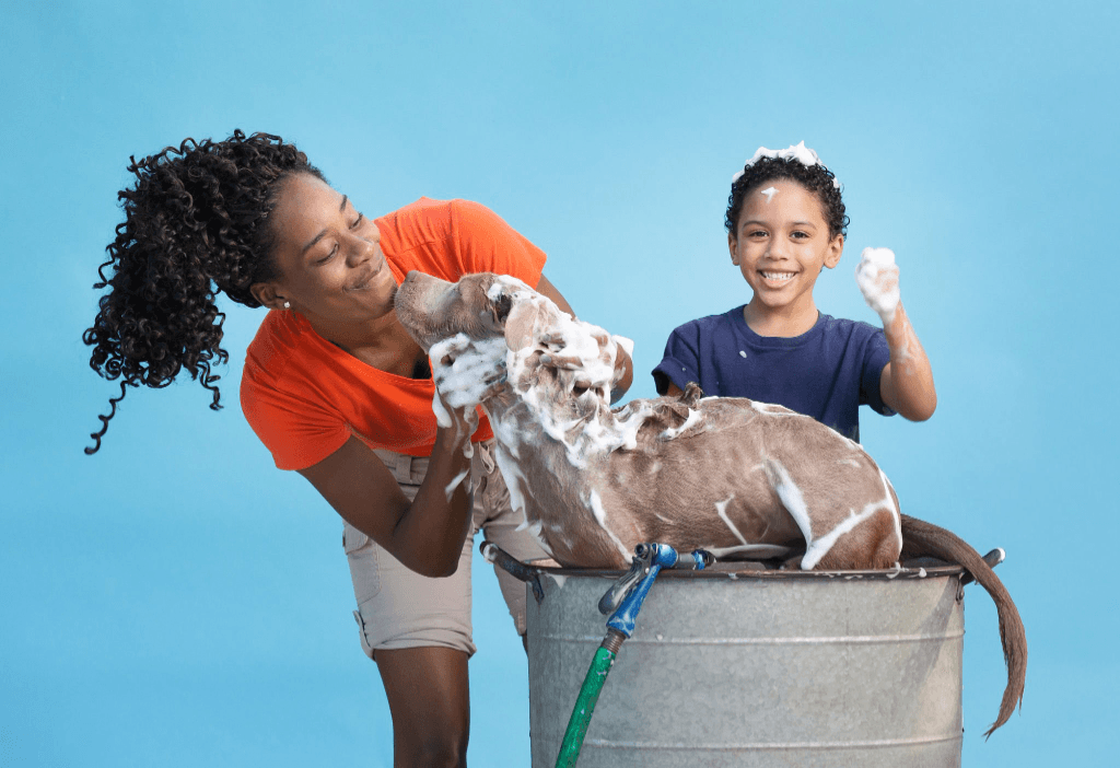 Grooming background 3