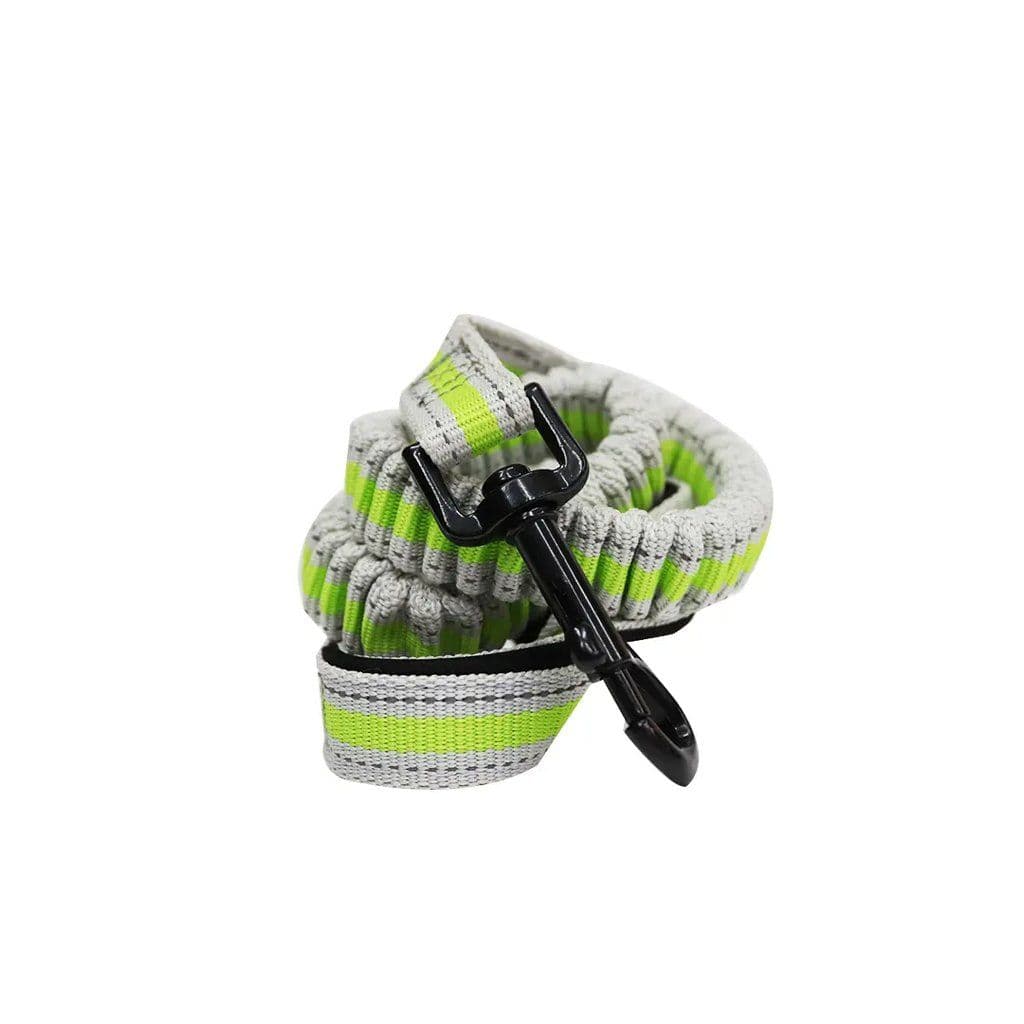 Amys Elastic Leash & Harness Large