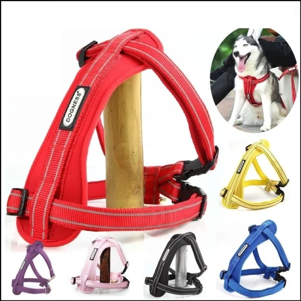 Dogness harness